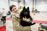 Сиба-ину, шпицы и алабаи: в Туле состоялась выставка собак, Фото: 3