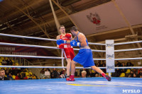 Финал турнира по боксу "Гран-при Тулы", Фото: 11