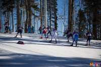 Состязания лыжников в Сочи., Фото: 57