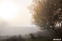 Центральный парк, утро, осень, Фото: 2