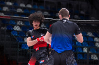 В «Тула-Арене» состоялись областные соревнования по ММА, Фото: 145