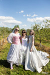  Парад невест прошел в Тульской области в фестивале «Цветущая яблоня», Фото: 13
