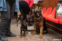 Выставка собак в Туле, Фото: 50