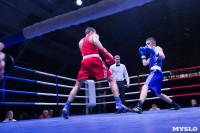В Туле прошли финальные бои Всероссийского турнира по боксу, Фото: 36