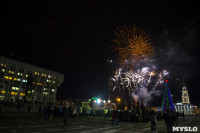 Фейерверк в честь 75-летия обороны Тулы, Фото: 9