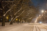 Сказочная зима в Туле, Фото: 28
