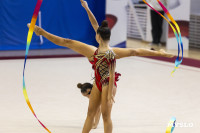 В Туле стартовало первенство Центрального федерального округа по художественной гимнастике, Фото: 4