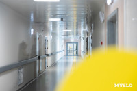 Стволовые клетки против онкологии: в Тульской области продолжается модернизация здравоохранения, Фото: 4