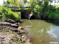 В этом году в Тульской области начали расчистку русел еще трех рек, Фото: 7