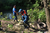 Спасатели приступили к расчистке берегов реки Воронки в Туле: фото, Фото: 25