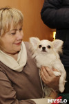 В Туле прошла Всероссийская выставка собак всех пород, Фото: 9