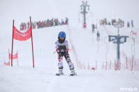 Соревнования по горнолыжному спорту в Малахово, Фото: 61