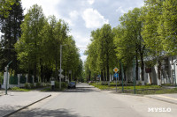 Проекты благоустройства парков Щекино, Киреевска, Ясногорска и Новомосковска, Фото 16