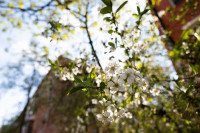 Цветочное настроение в Туле, Фото: 23