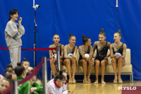 В Туле стартовало первенство Центрального федерального округа по художественной гимнастике, Фото: 35