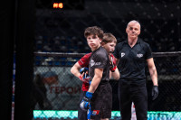 В «Тула-Арене» состоялись областные соревнования по ММА, Фото: 129