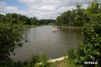 Почему обмелел пруд в Рогожинском парке Тулы?, Фото: 20