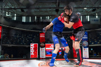 В «Тула-Арене» состоялись областные соревнования по ММА, Фото: 18