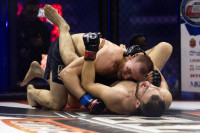 Битва за Тулу-2026, Фото: 264