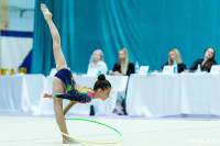 Тула провела крупный турнир по художественной гимнастике, Фото: 129