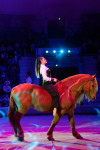 Успейте посмотреть шоу «Новогодние приключения домовенка Кузи» в Тульском цирке, Фото: 112