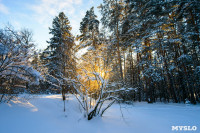 Снежное Поленово, Фото: 32