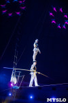 Звезды манежа в цирке, Фото: 221