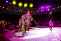 Цирк Инди Ра, Фото: 59