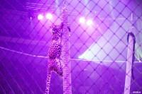 Шоу Гии Эрадзе «5 континентов» в Тульском цирке: феерия уже началась!, Фото: 83