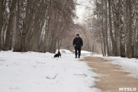 В Центральном парке прошёл рейд по выявлению нарушений выгула собак, Фото: 5