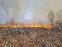 В Федоровке огонь с горящего поля едва не перекинулся на дома, Фото: 4
