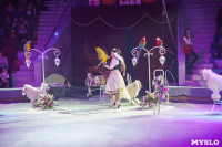 Шоу слонов в Тульском цирке, Фото: 3