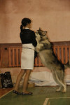 В Туле прошла всероссийская выставка собак, Фото: 38