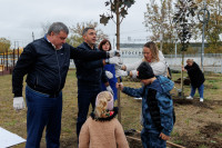 Администрация Тулы вместе с депутатами высадили клёны во дворе дома для военнослужащих в Туле, Фото: 13