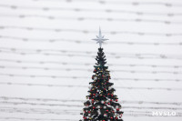 На главной площади Тулы открыли Губернский каток, Фото: 22