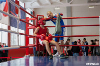В Тульской области проходит областное первенство по боксу, Фото: 77