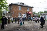 В Тульской области Богородицкий район атаковали мошки, Фото: 10