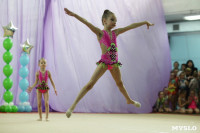 Соревнования «Первые шаги в художественной гимнастике», Фото: 74