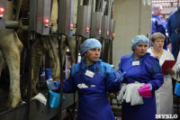 Конкурс профессионального мастерства среди операторов машинного доения коров, Фото: 47