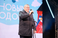 Глава администрации Тулы Илья Беспалов: «Загадывайте желания под нашей новой красавицей-ёлкой», Фото: 19