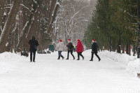 Забег Дедов Морозов в Белоусовском парке, Фото: 33