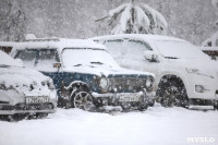 Снегопад в Туле 12 февраля, Фото: 10