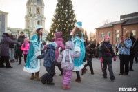В Тульском кремле открылась новогодняя елка, Фото: 20