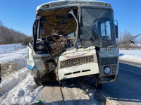 В Тульской области в ДТП с автобусом и маршруткой пострадали несколько человек, Фото: 8