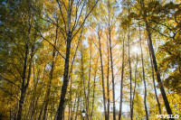 Золотая осень в Ясной Поляне, Фото: 33