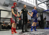 В Новомосковске прошел Чемпионат и Первенство Тульской области по ММА, Фото: 13