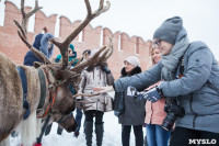 Северное шоу в Туле, Фото: 7