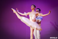 Танцовщики Андриса Лиепы в Туле, Фото: 110
