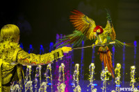 Шоу фонтанов «13 месяцев» в Тульском цирке – подарите себе и близким путевку в сказку!, Фото: 31