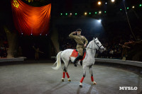 День Победы в Тульском цирке: большой концерт и патриотический спектакль, Фото: 173